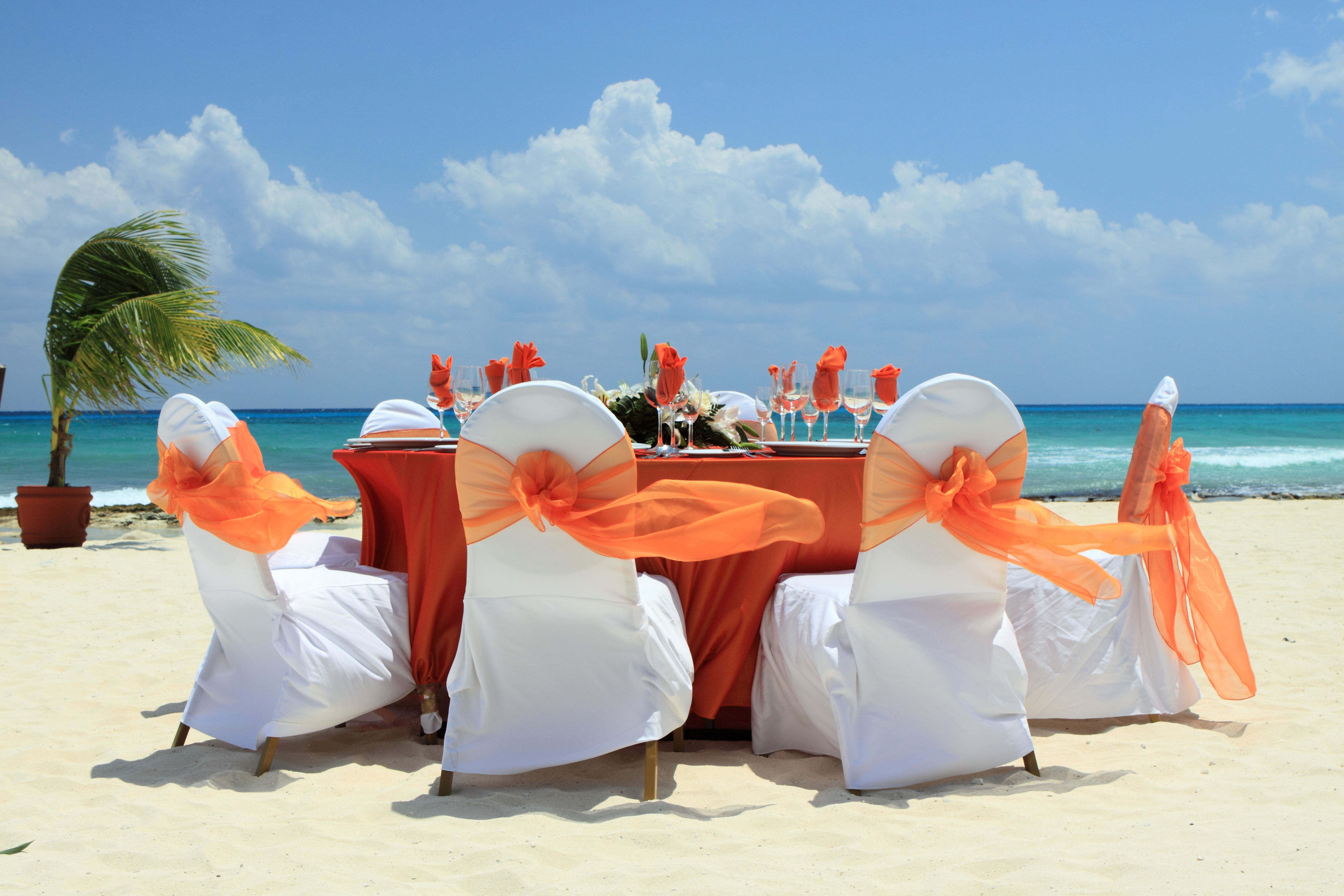 Wedding on a beach in a tropic  resort.